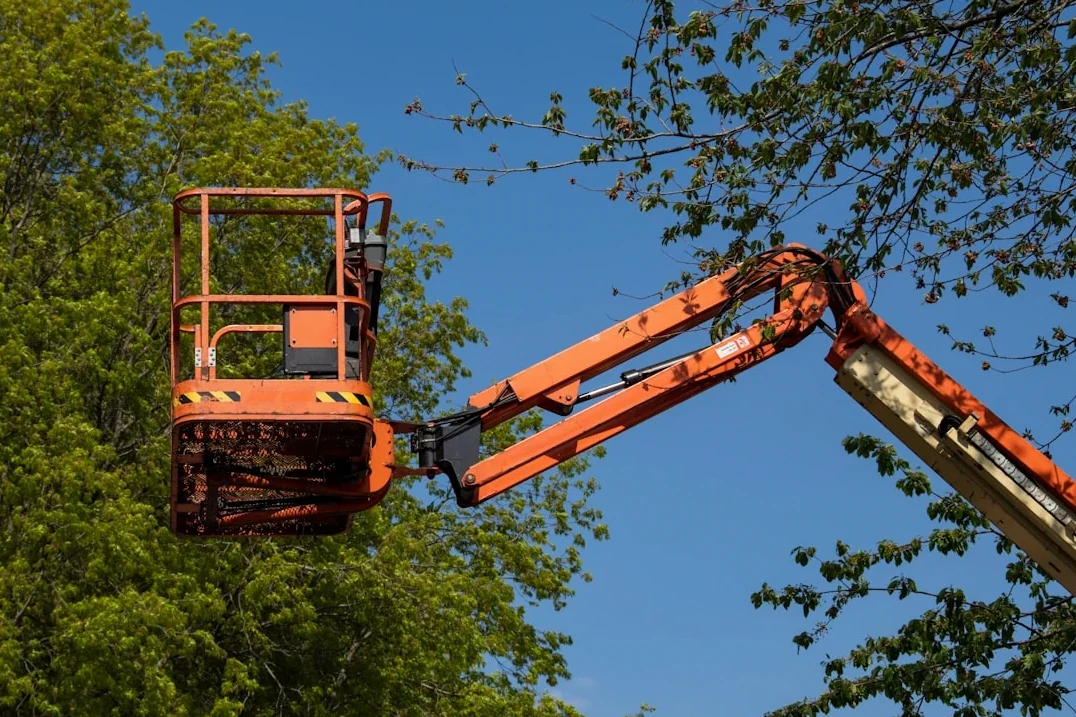 Power Line Clearance Trimming service in Huntsville, AL
